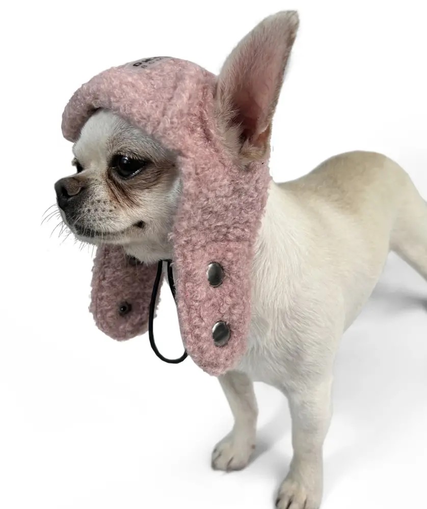 Dogs Bomba Шапка Авіатор тедді пудра 2