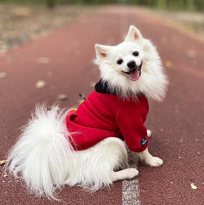 Digi Dog Худі тепле в Асортименті