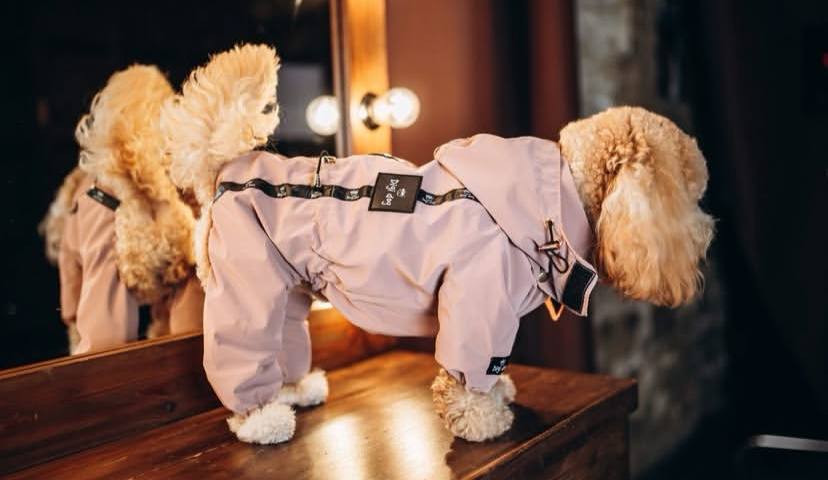 Digi Dog Зимовий комбінезон в Асортименті