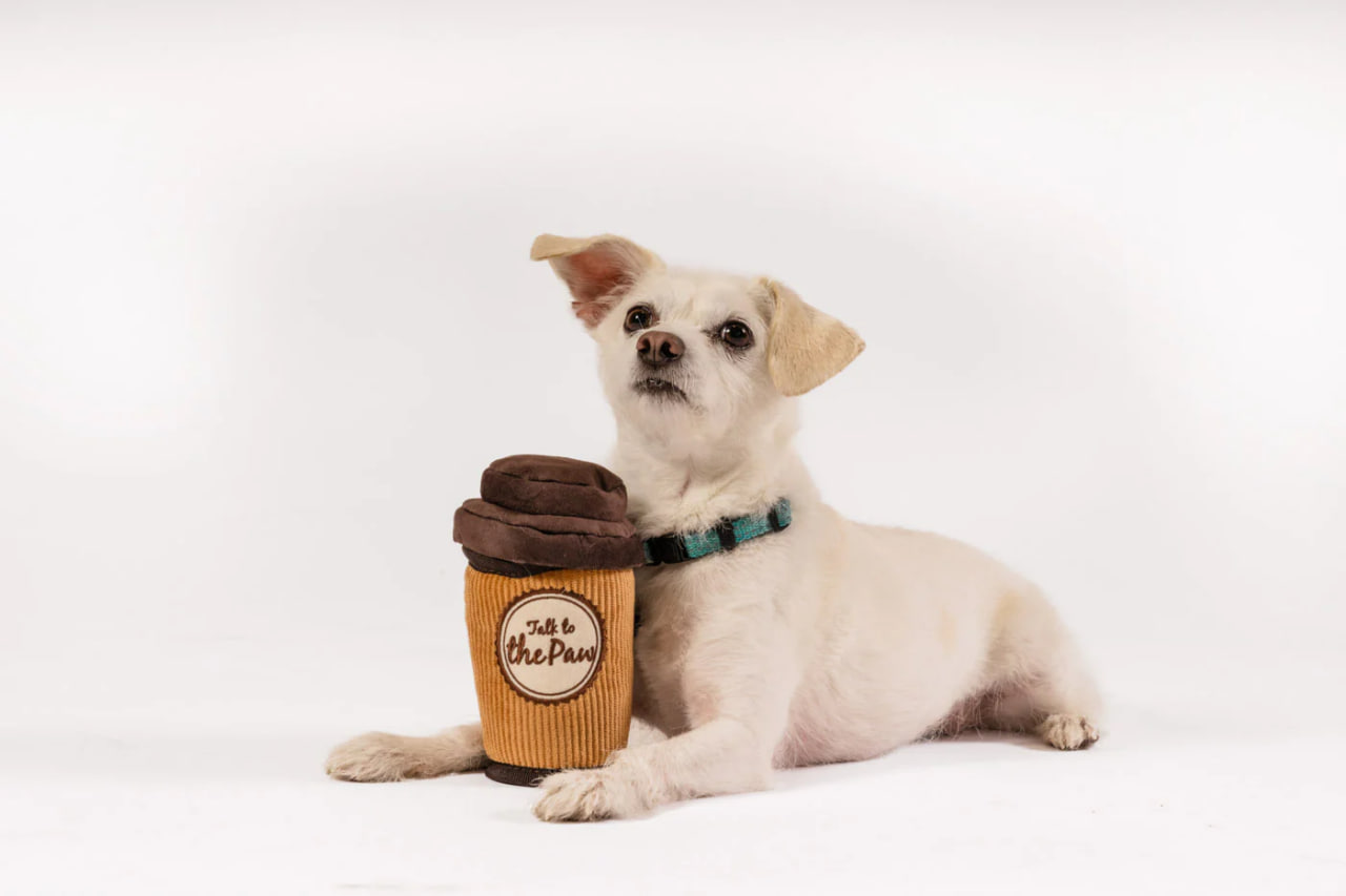 P.L.A.Y. Pup Up Cafe - Doggo's Java - іграшка для собак