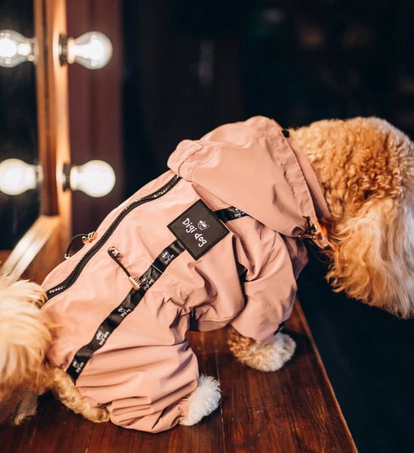 Digi Dog Зимовий комбінезон в Асортименті