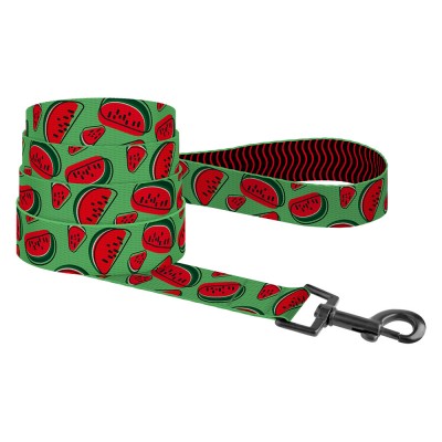 Повідець BronzeDog Urban Fruits Нейлоновий Кавун 152 см
