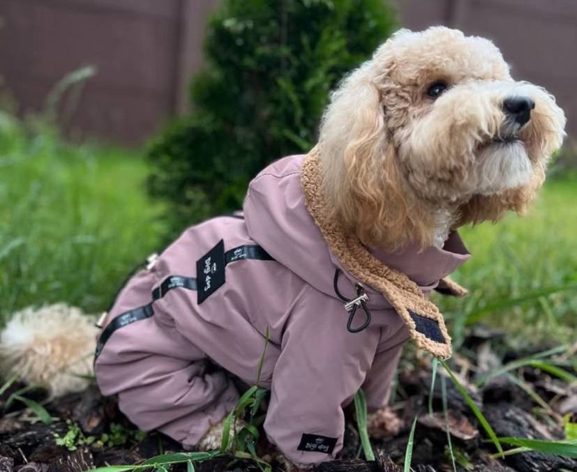 Digi Dog Зимовий комбінезон в Асортименті