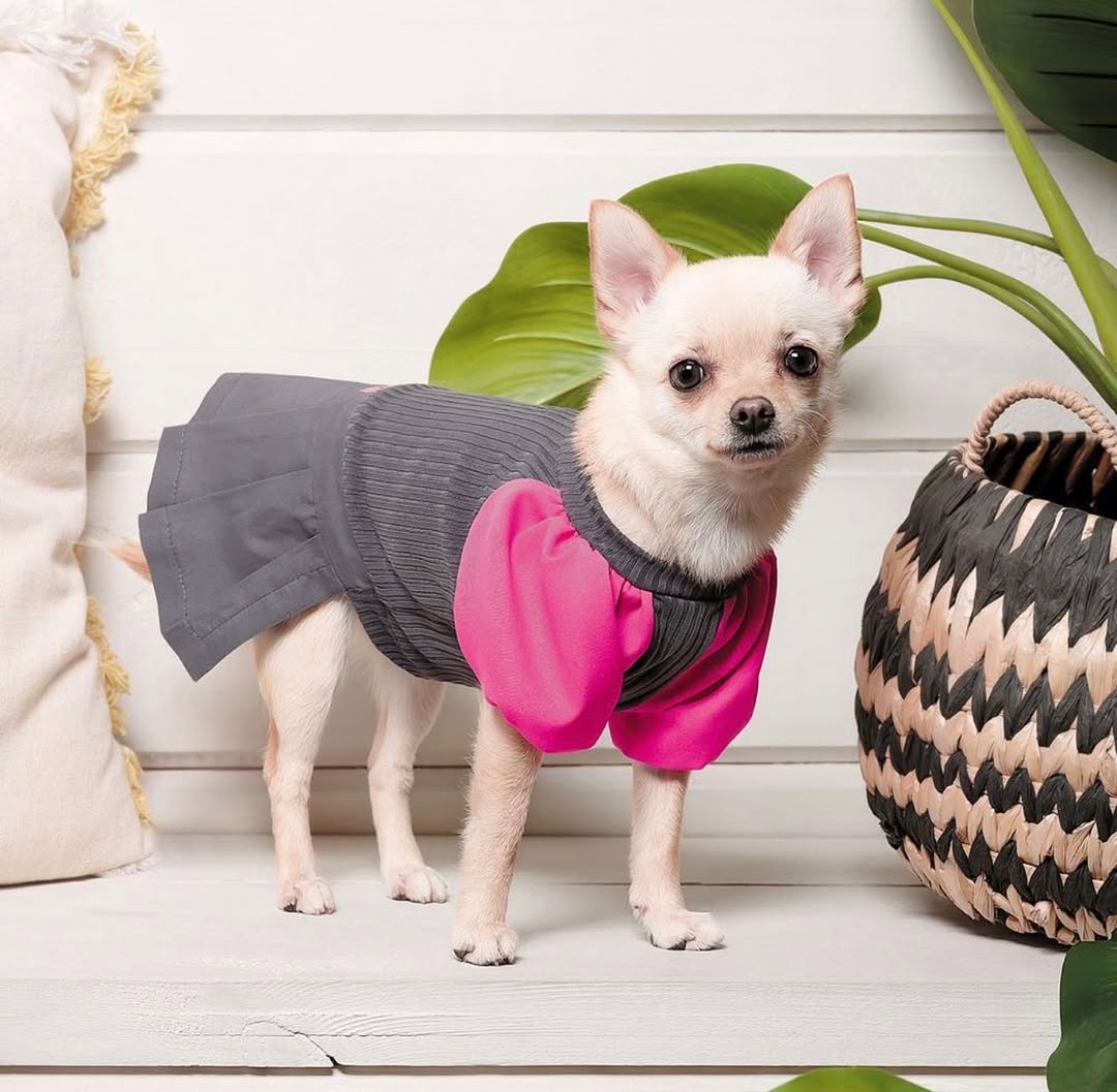 Сукня Classic ТМ Pet Fashion Груди 37-44 Спинка 27-30 см