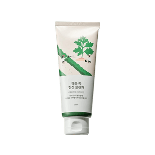Заспокійлива очищуюча пінка з полином Round Lab MUGWORT Calming Cleanser, 150 мл
