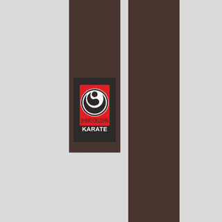 Kimono belt (obi) WKO BROWN