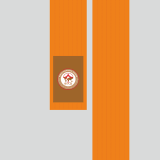 Kimono belt (obi) WKB ORANGE