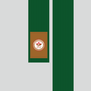 Kimono belt (obi) WKB GREEN