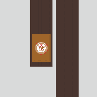 Kimono belt (obi) WKB BROWN