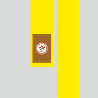 Kimono belt (obi) WKB YELLOW