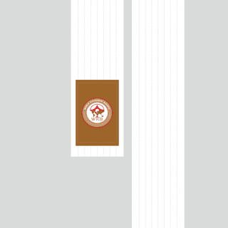 Kimono belt (obi) WKB WHITE